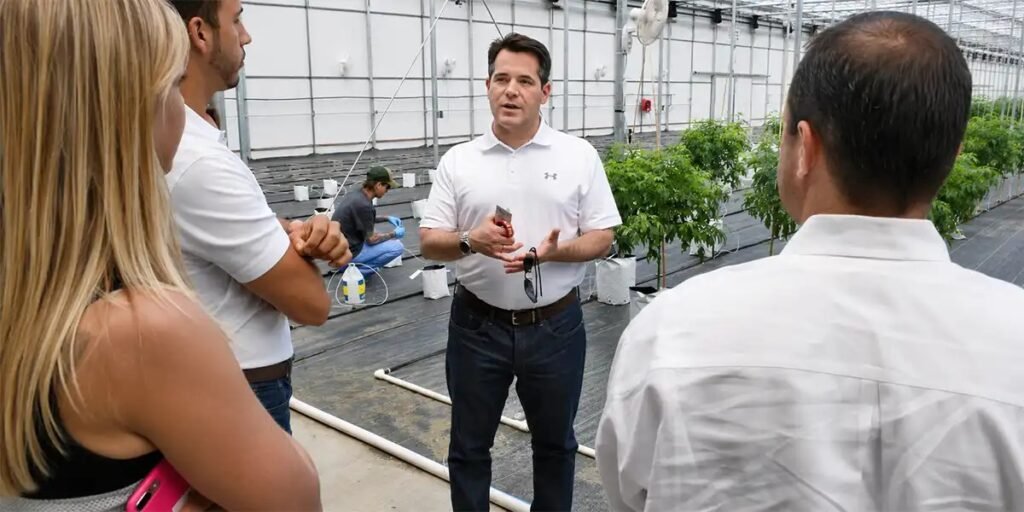 Cannabis company executive leadership meeting
