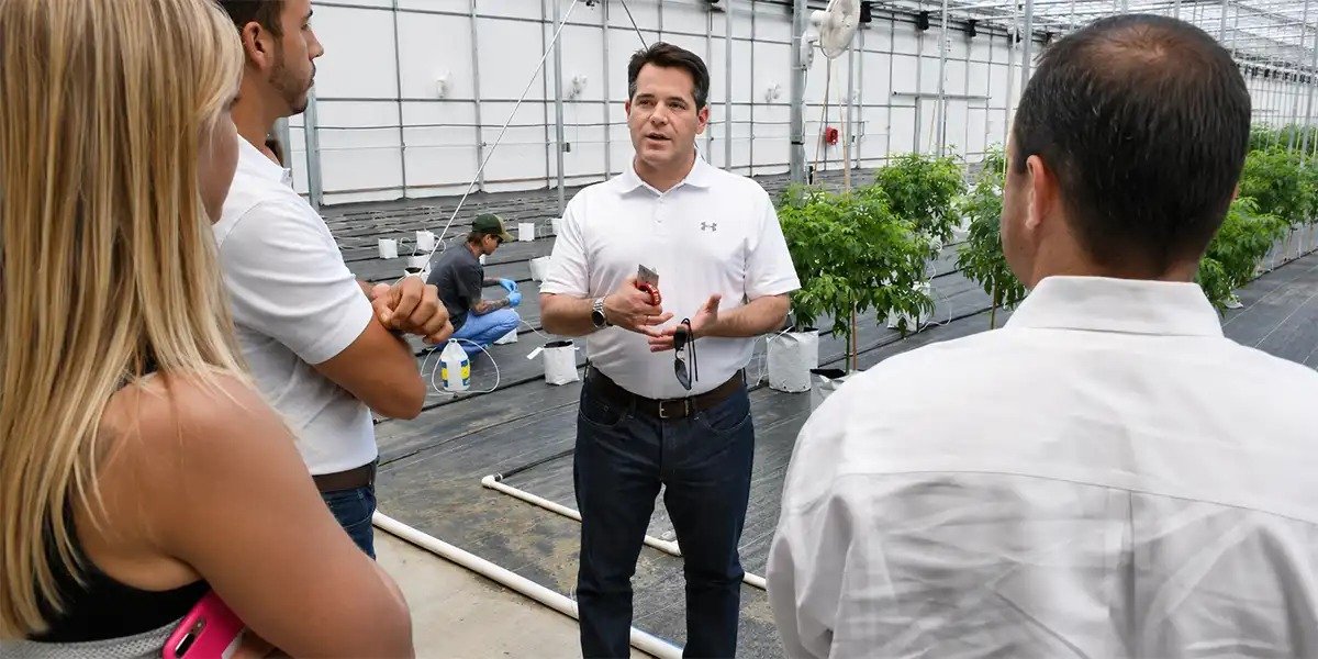 Cannabis company executive leadership meeting